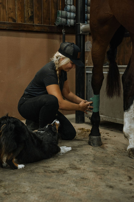 How to Build the Perfect Dressage Outfit (For You and Your Horse)