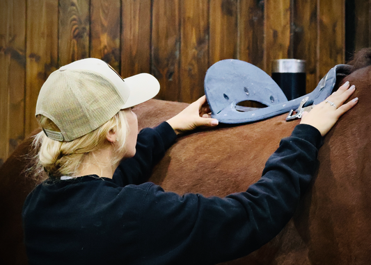 Why Custom Saddlery Makes the Best Dressage Saddles for You and Your Horse
