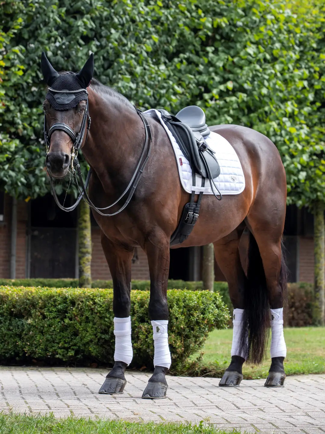 Loire Classic Dressage Square White Large