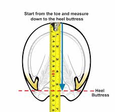 SCOOT BOOTS (Custom Ordered for Size)