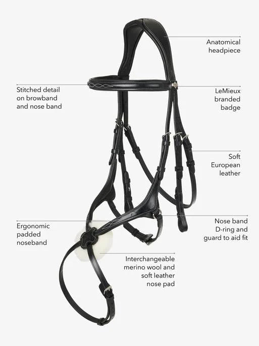 Grackle Bridle Black Cob