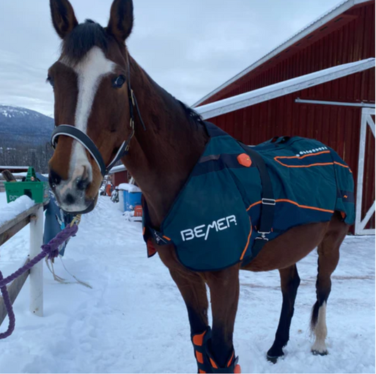 Why I Swear by the Bemer Horse Blanket for My Horses