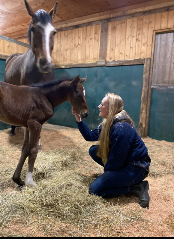 She’s My Little Lady: The Story of My Heart Horse’s Legacy