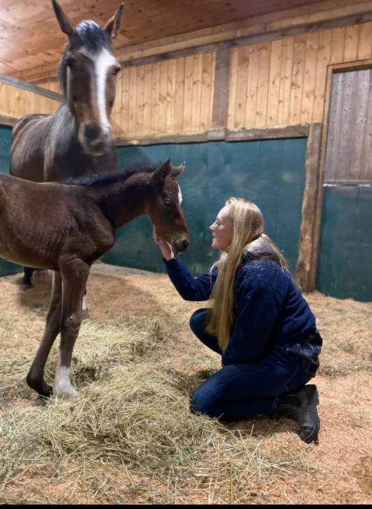 She’s My Little Lady: The Story of My Heart Horse’s Legacy