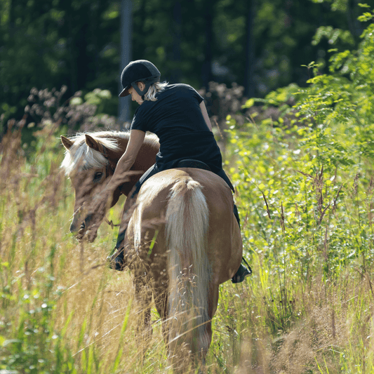 How to Optimize Your Spring Saddle Care Routine