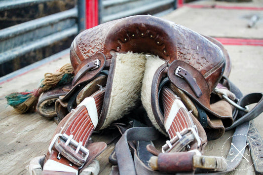 Everything You Need to Know About Saddle Maintenance
