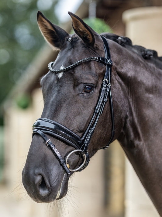 Kudos Patent Dressage Bridle Black - Cob