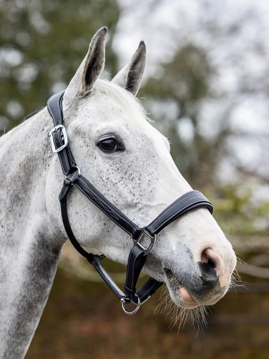 Stitched Leather Headcollar